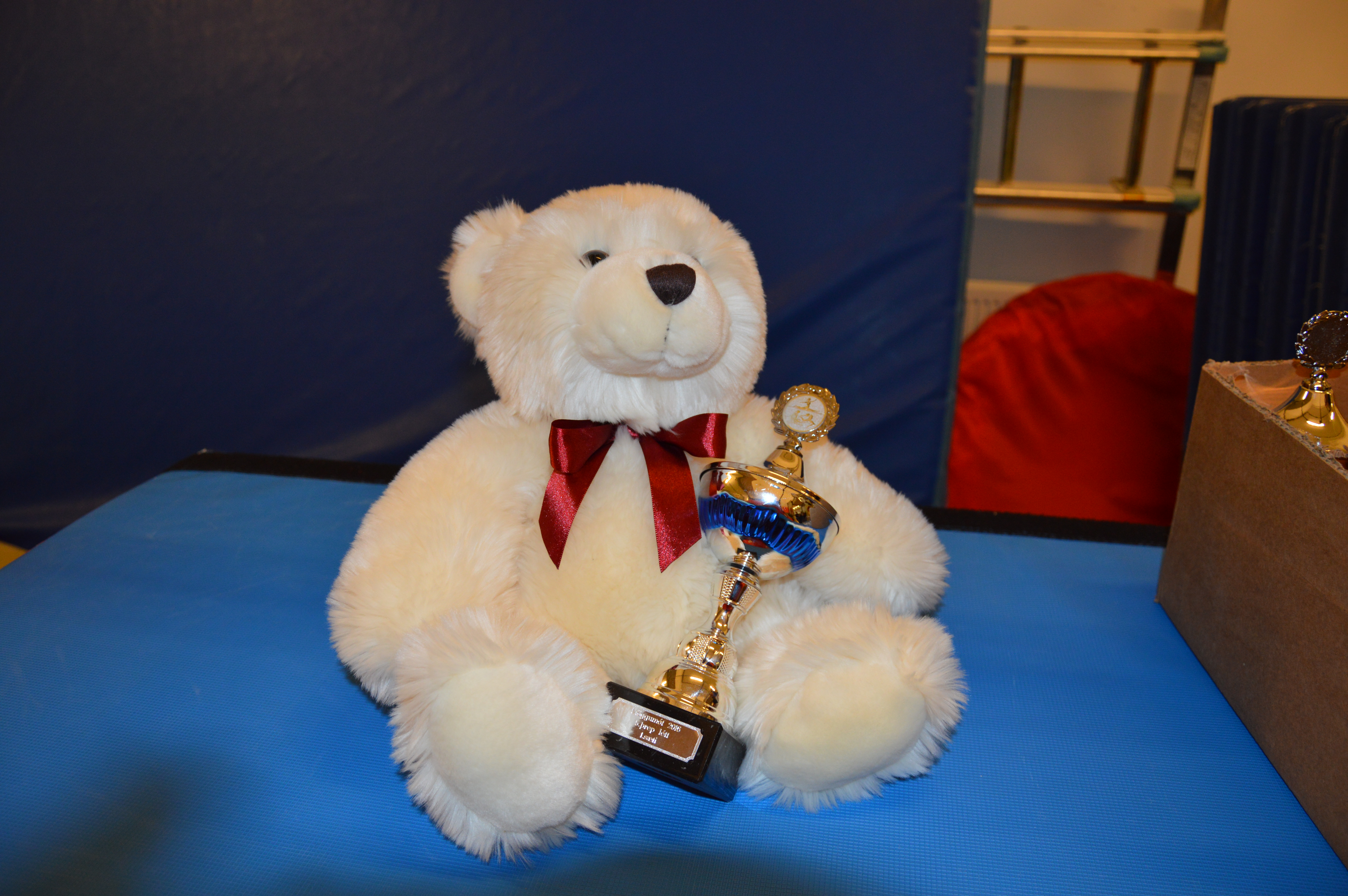 Ath Uppfærð frétt! Skráning opnar 16.júlí