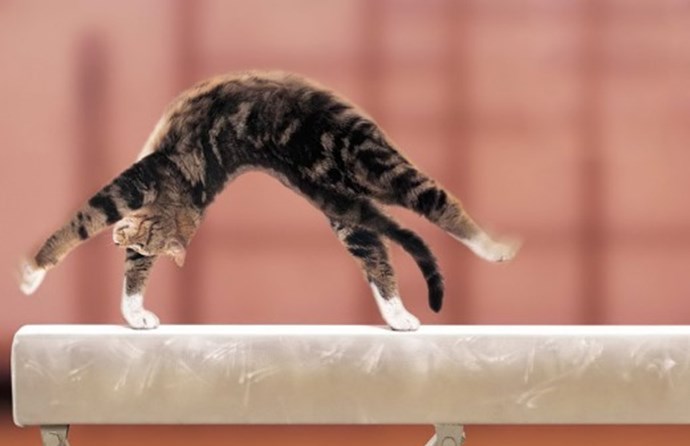 ATH! Krakkafimleikar verða í íþróttahúsinu við Myllubakkskóla laugardaginn 10.maí.