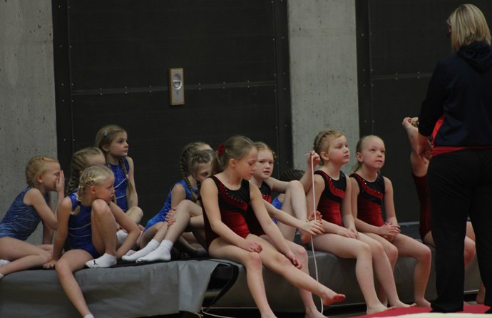 Starf Fimleikadeildarinnar í vetur